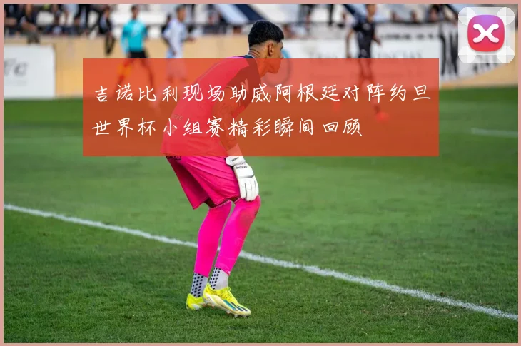 吉诺比利现场助威阿根廷对阵约旦世界杯小组赛精彩瞬间回顾